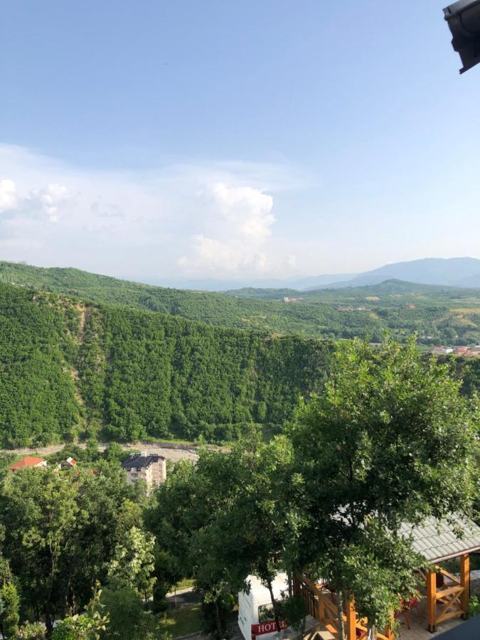 Bujtina Vrenezi Hotel Peshkopi Eksteriør billede