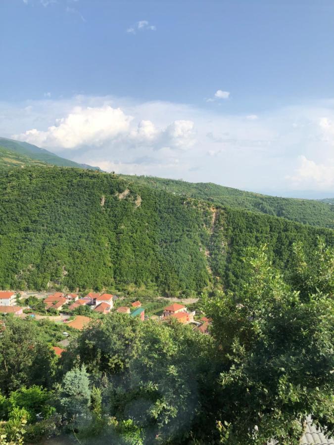 Bujtina Vrenezi Hotel Peshkopi Eksteriør billede